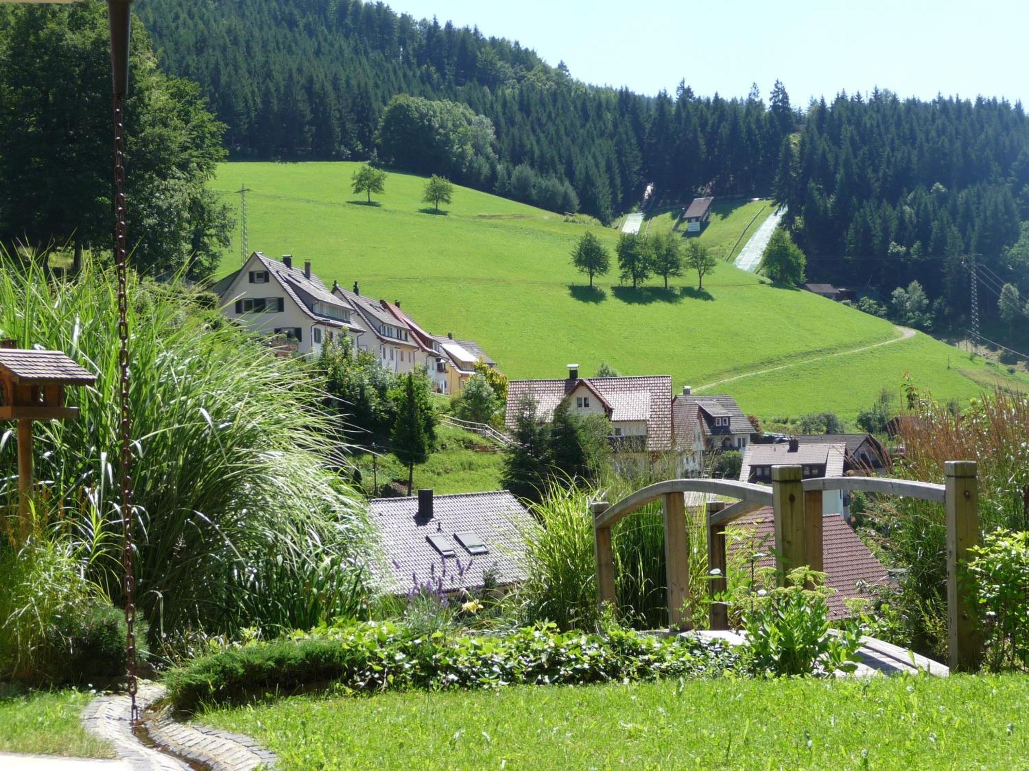 Flair Hotel Adlerbad Bad Peterstal-Griesbach Exteriör bild