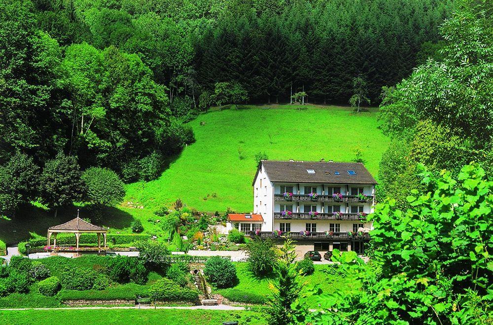 Flair Hotel Adlerbad Bad Peterstal-Griesbach Exteriör bild