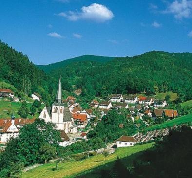 Flair Hotel Adlerbad Bad Peterstal-Griesbach Exteriör bild